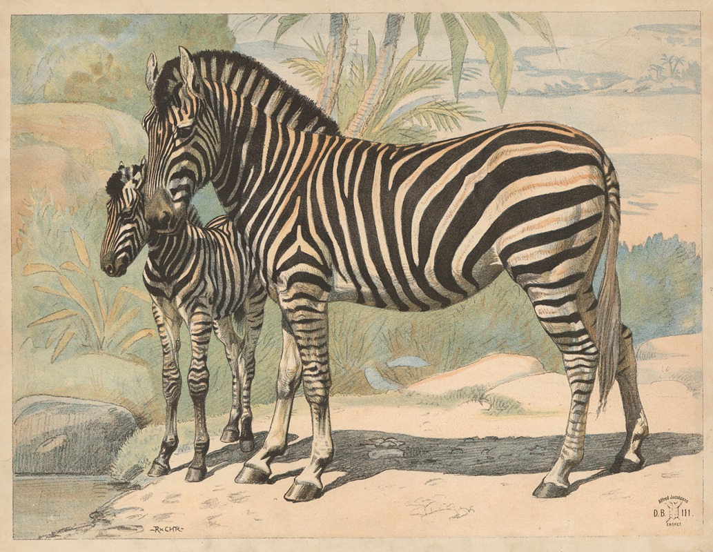 Zebra by Расмус Кристиансен, 1892 — digital art print download