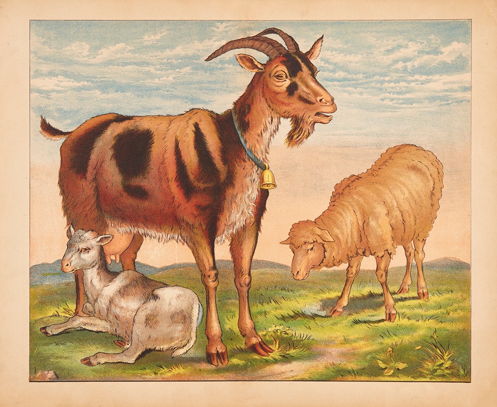 Goat, kid, and sheep by V. Oehmigke & Riemschneider, 1880 — digital art print download