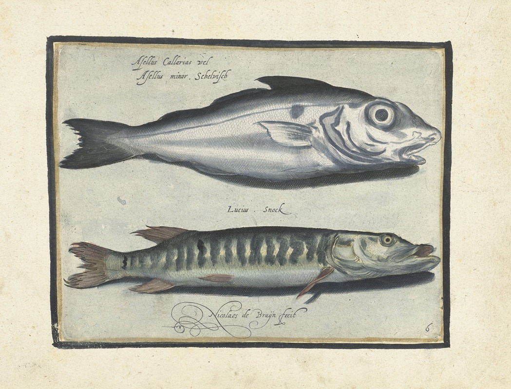 A haddock with a snook at the bottom by Nicolaes de Bruyn, 1594 — digital art print download