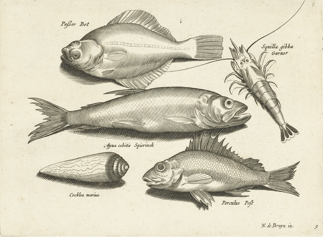 A flounder, a shrimp, a smelt and a seashell — Nicolaes de Bruyn