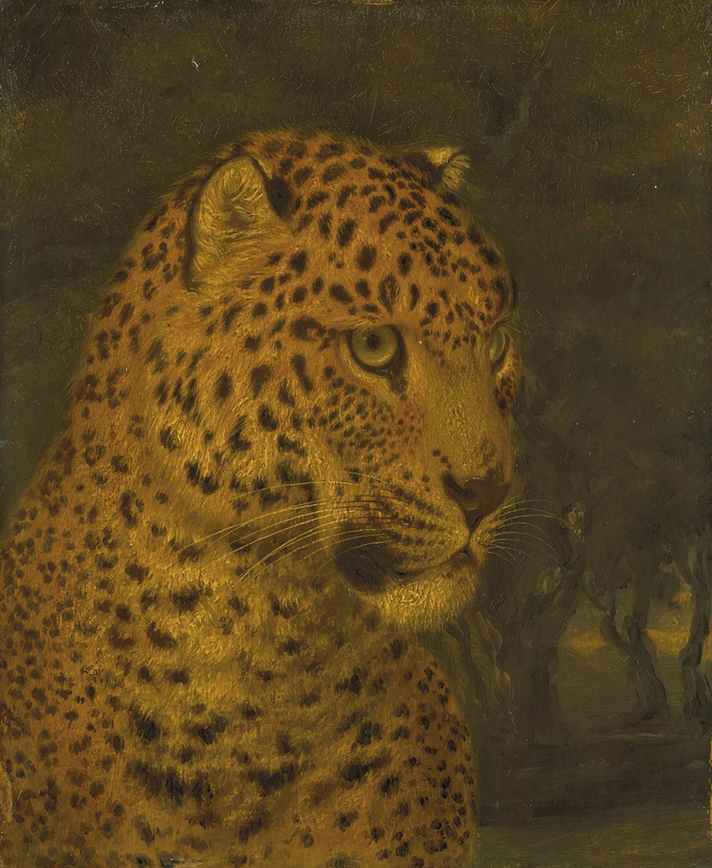 Head of a leopard by William Huggins — digital art print download