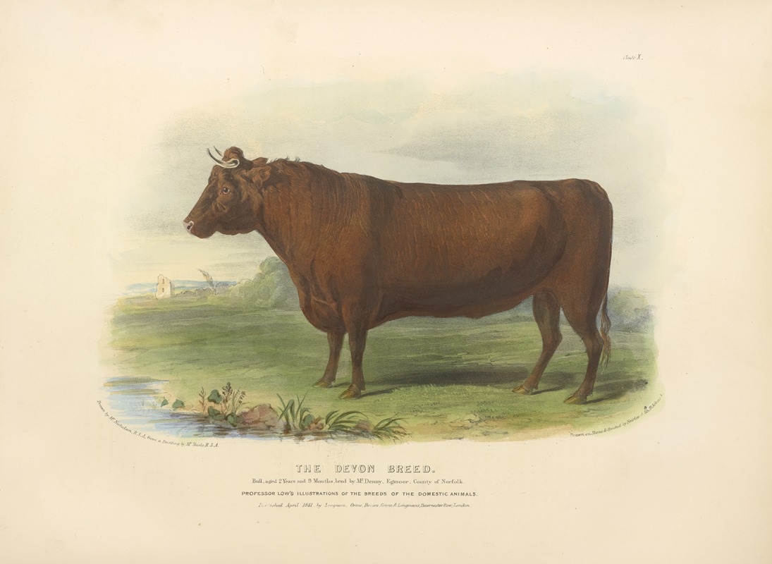 The Devon Breed by David Low, 1842 — digital art print download