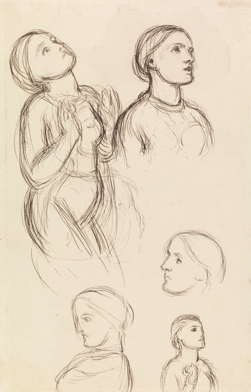 Studies of Edith Holman Hunt by Уильям Холман Хант — digital art print download
