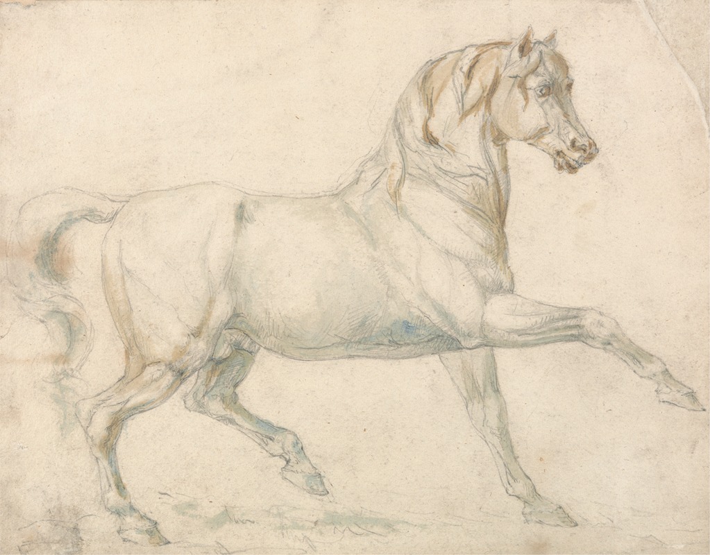 An Arabian Stallion Walking to Right — William Sawrey Gilpin