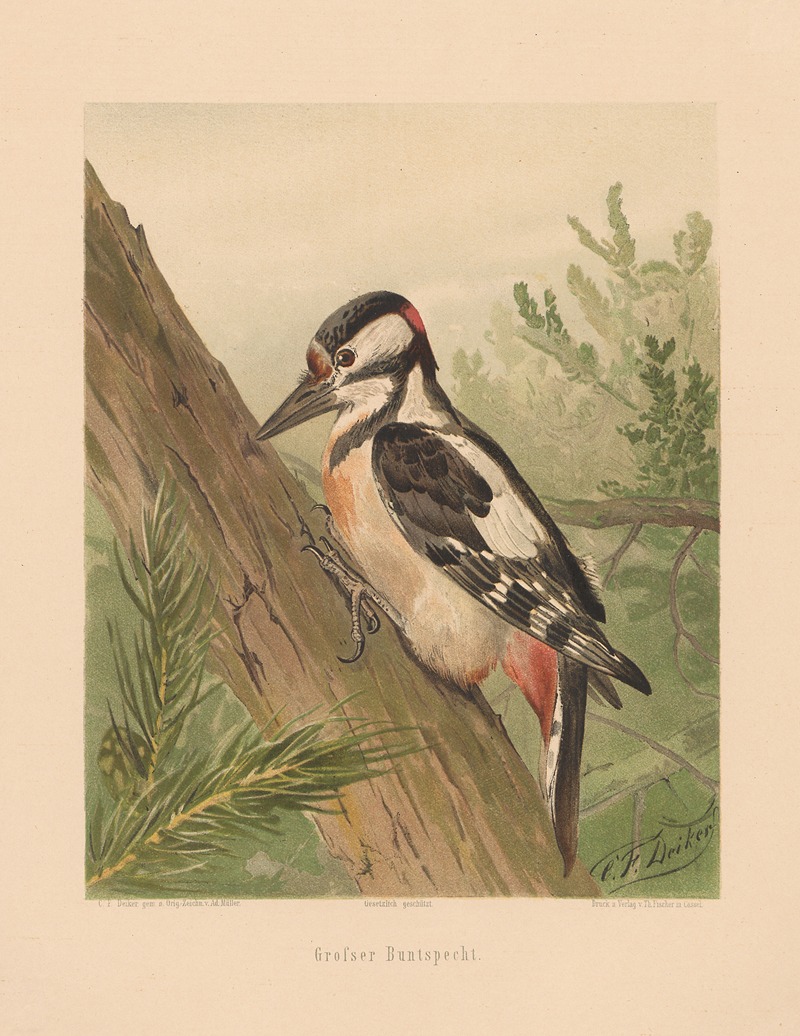 Grosser Buntspecht by Карл Фридрих Дейкер, 1875 — digital art print download