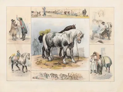The Horse by Ch. Hucklenbroich, 1842 — digital art print download