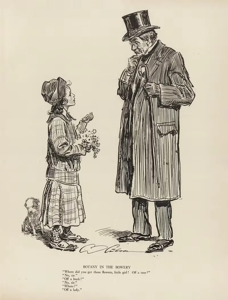 Botany in the bowery by Charles Dana Gibson, 1916 — digital art print download