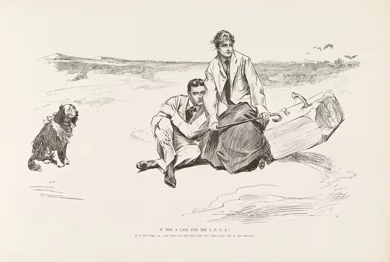 Это случай для S.P.C.A? by Чарльз Дана Гибсон, 1896 — digital art print download