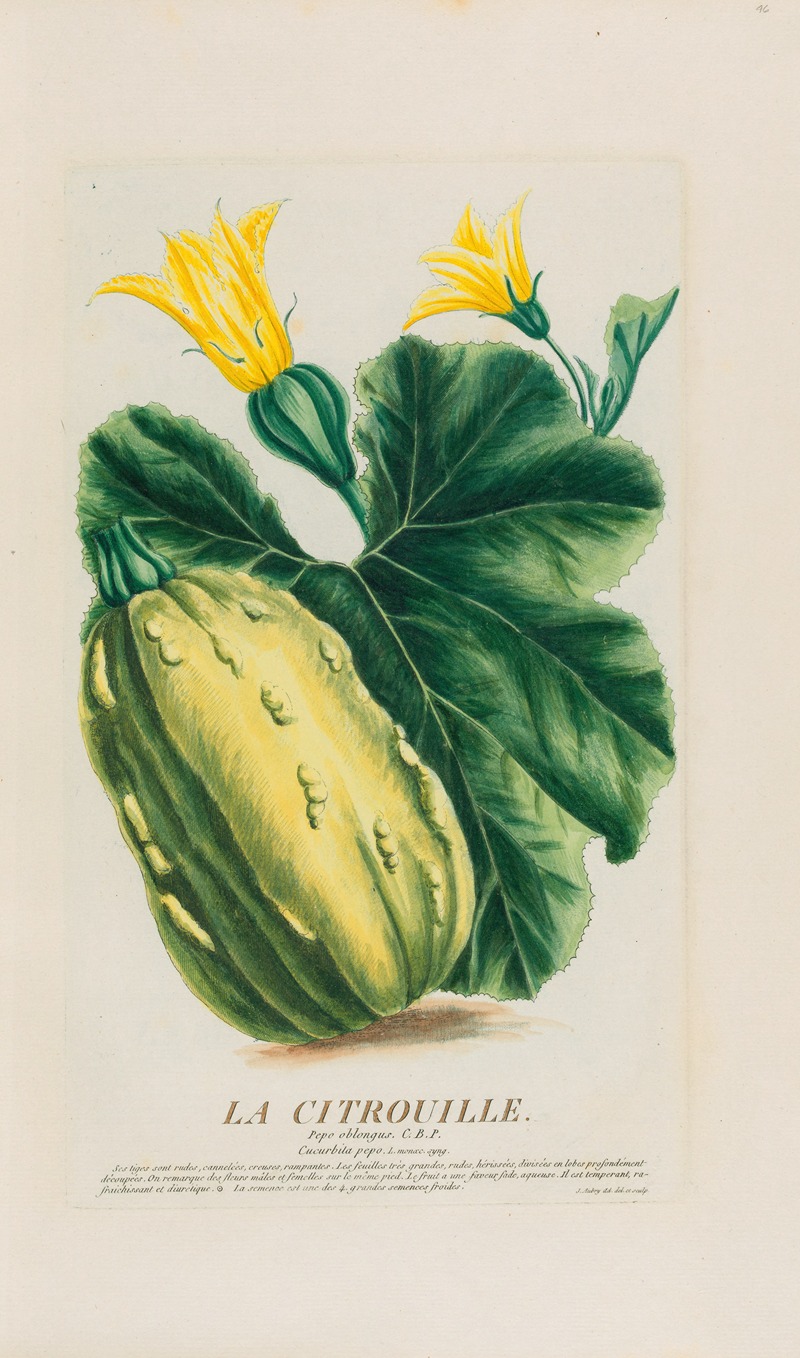 La Citrouille by Pierre Philippe Alyon, 1787 — digital art print download