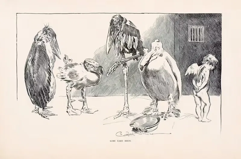 Some rare birds by Charles Dana Gibson, 1896 — digital art print download