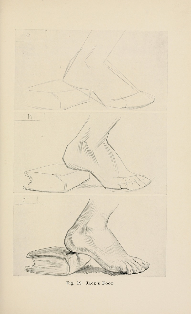 Drawing for beginners Pl.08 by Dorothy Furniss — digital art print download