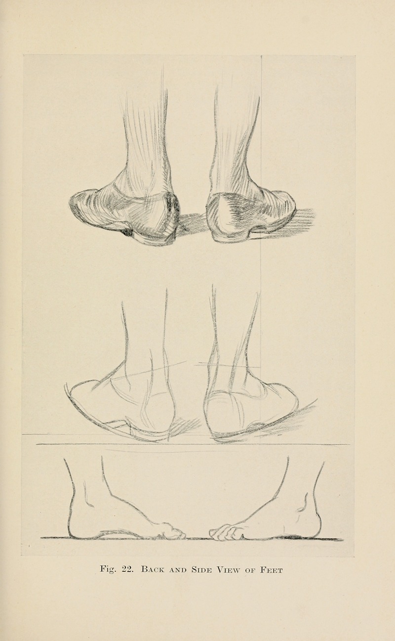 Drawing for beginners Pl.10 by Dorothy Furniss — digital art print download