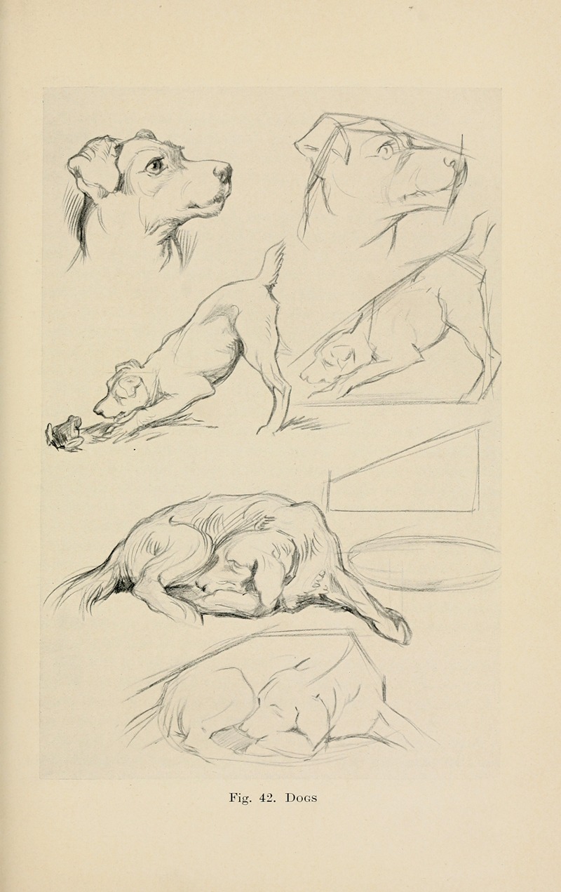 Drawing for beginners Pl.20 by Dorothy Furniss — digital art print download