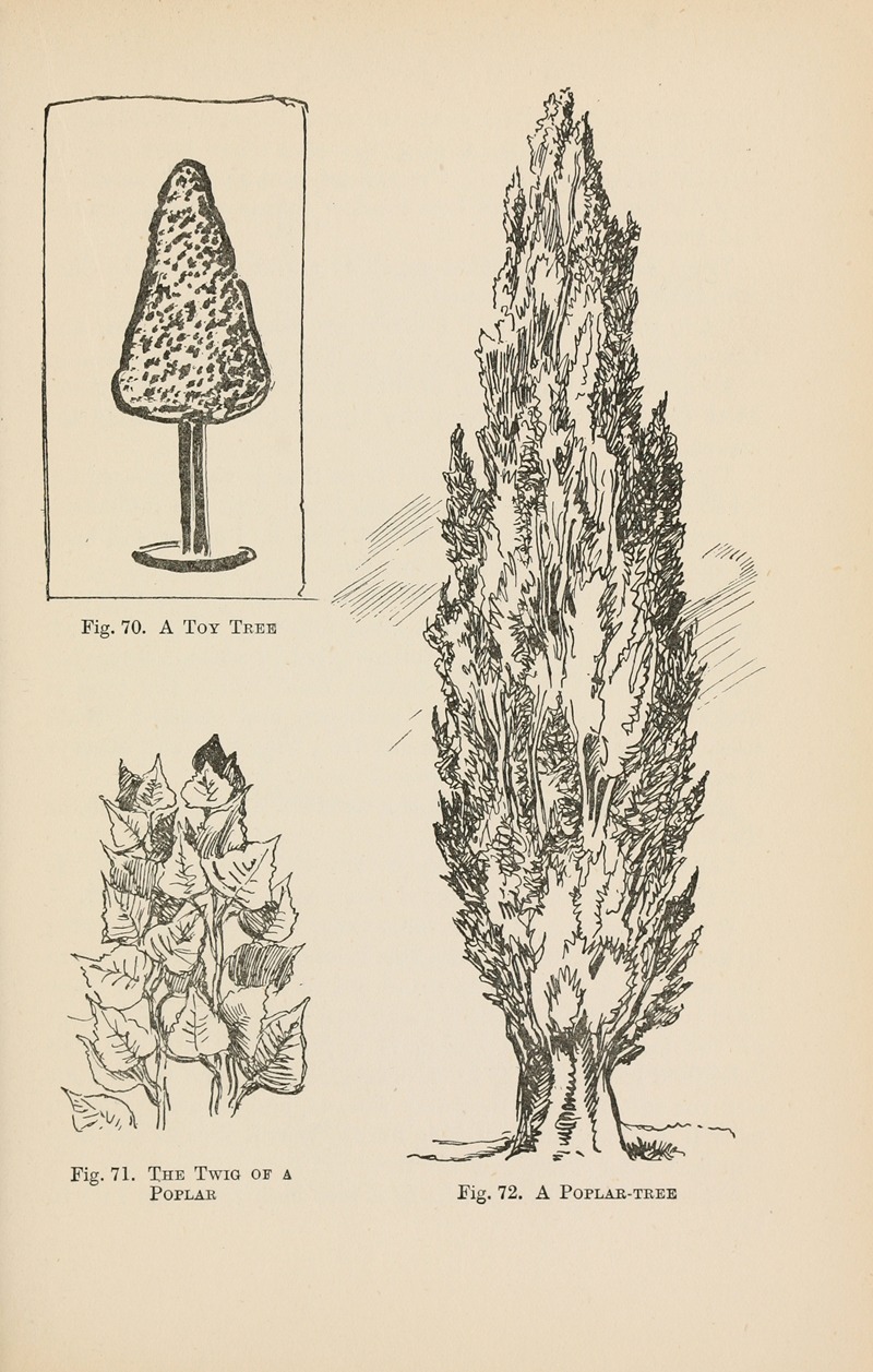 Drawing for beginners Pl.31 by Dorothy Furniss — digital art print download