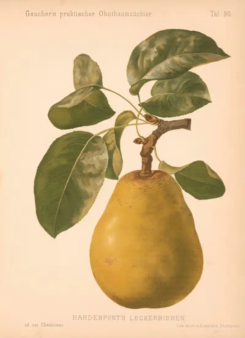 Hardenpont's Leckerbissen by A. Eckstein, 1885–1886 — digital art print download