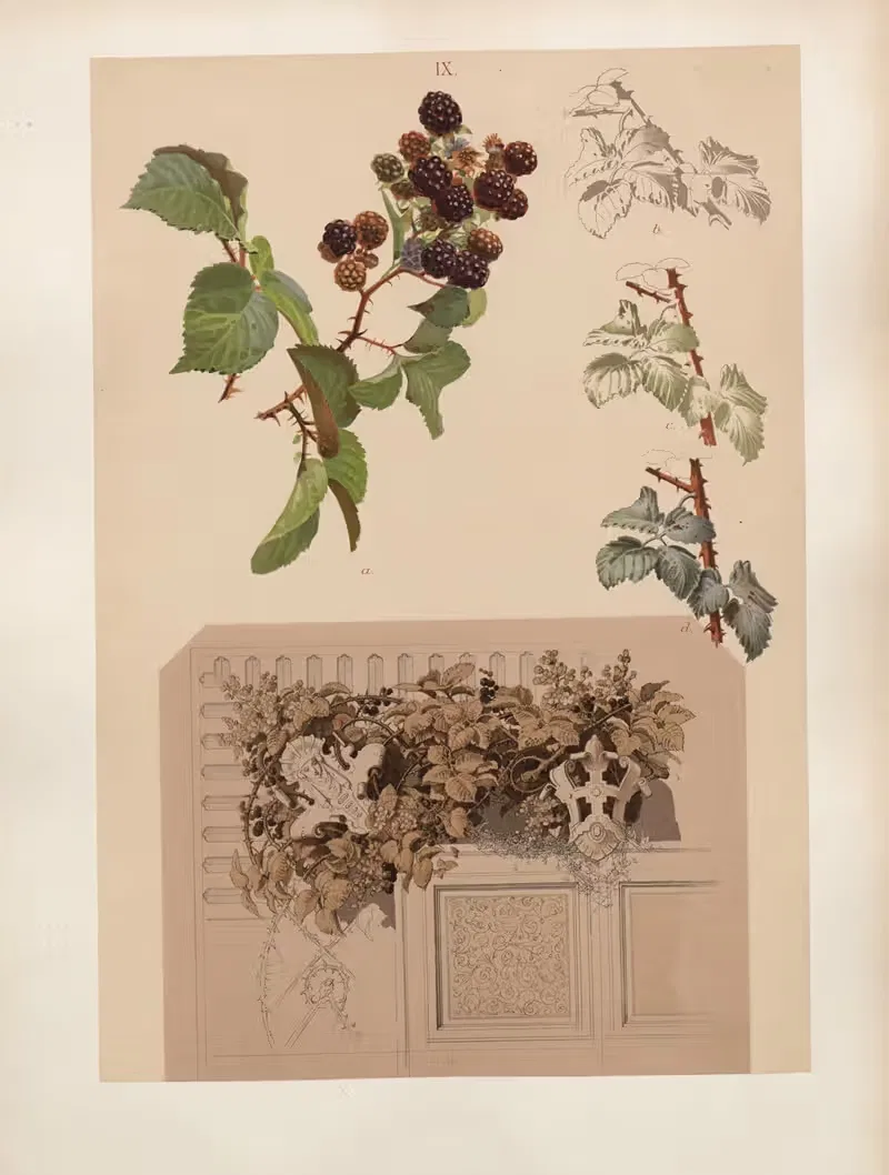 Studien zur Aquarell-Malerei Pl.08 — Adolf Schrödter