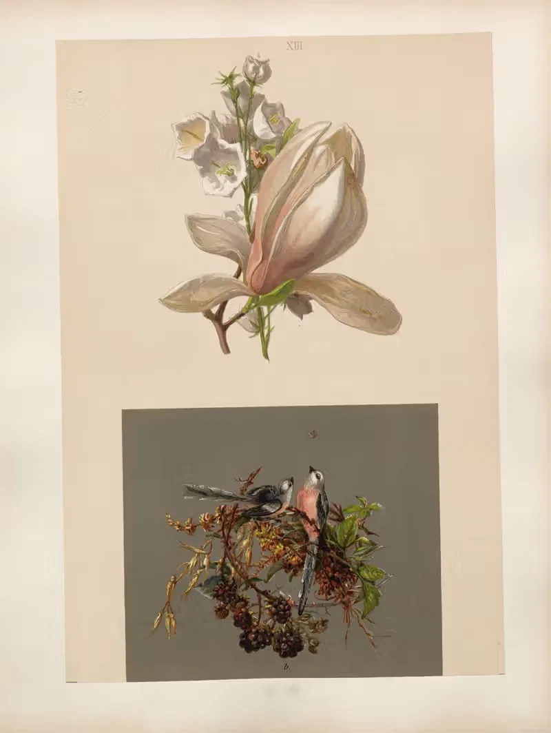 Studien zur Aquarell-Malerei Pl.12 — Adolf Schrödter