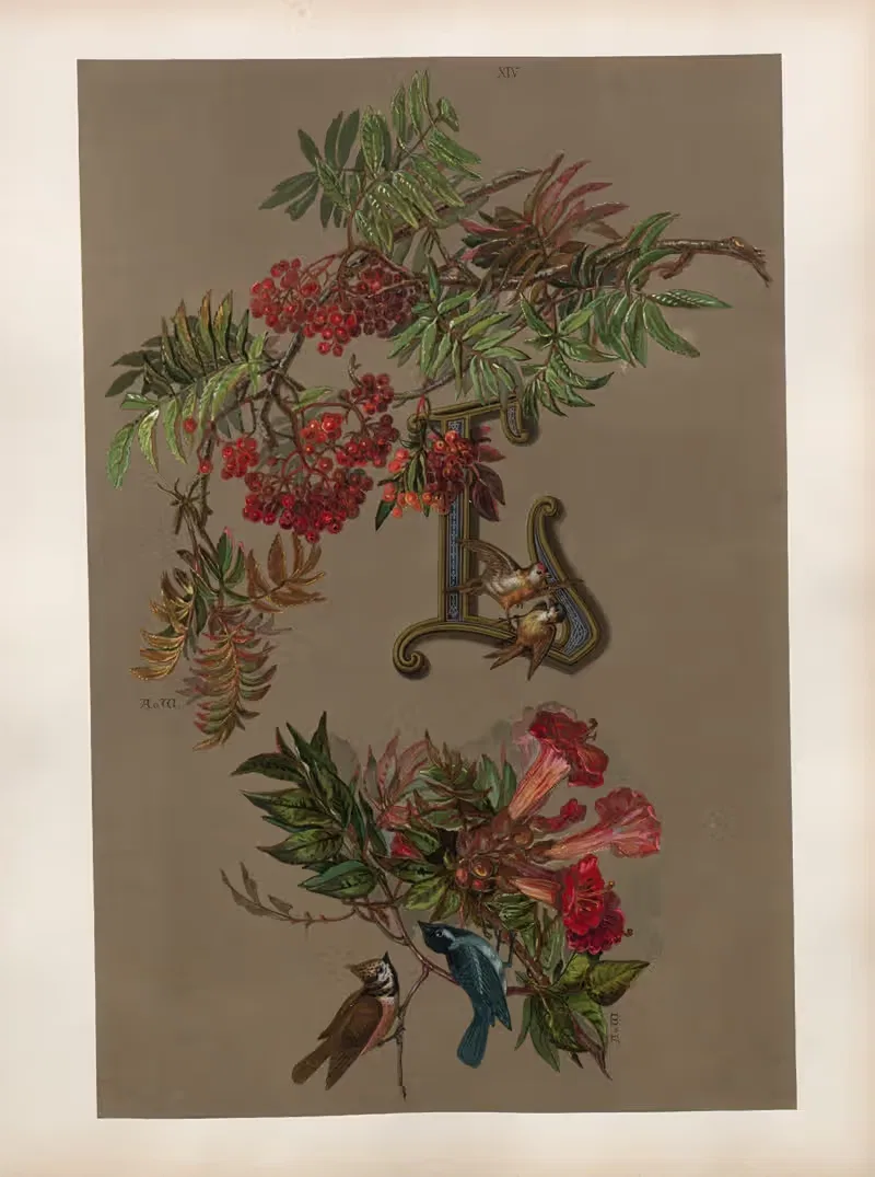 Studien zur Aquarell-Malerei Pl.13 — Adolf Schrödter