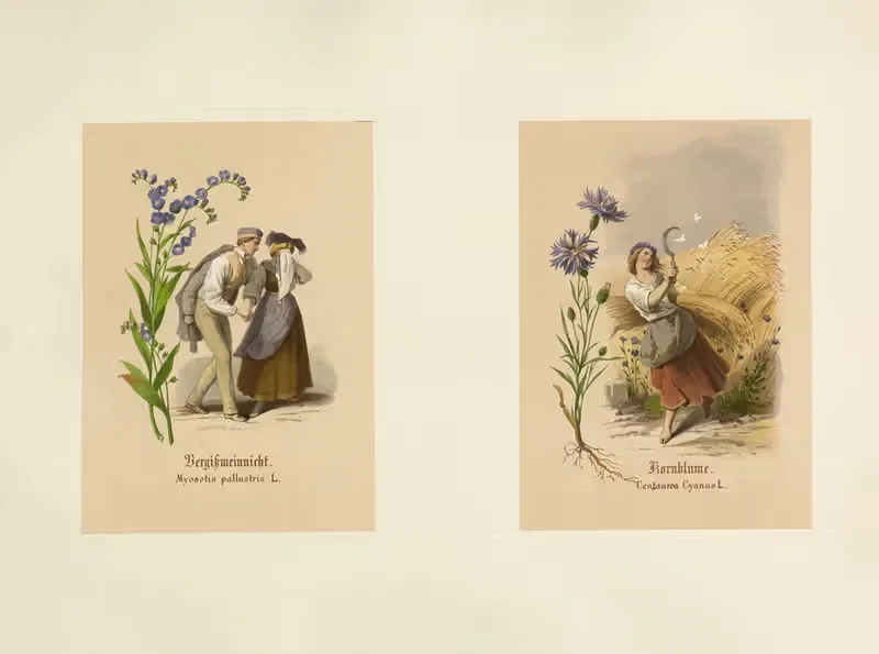Studien zur Aquarell-Malerei Pl.15 — Adolf Schrödter