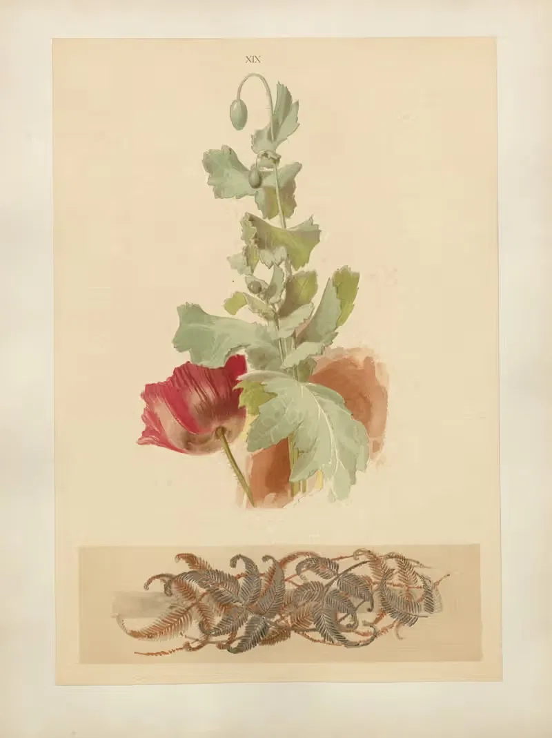 Studien zur Aquarell-Malerei Pl.18 — Adolf Schrödter