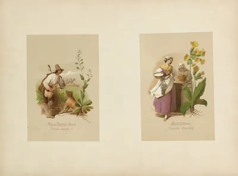 Studien zur Aquarell-Malerei Pl.23 — Adolf Schrödter