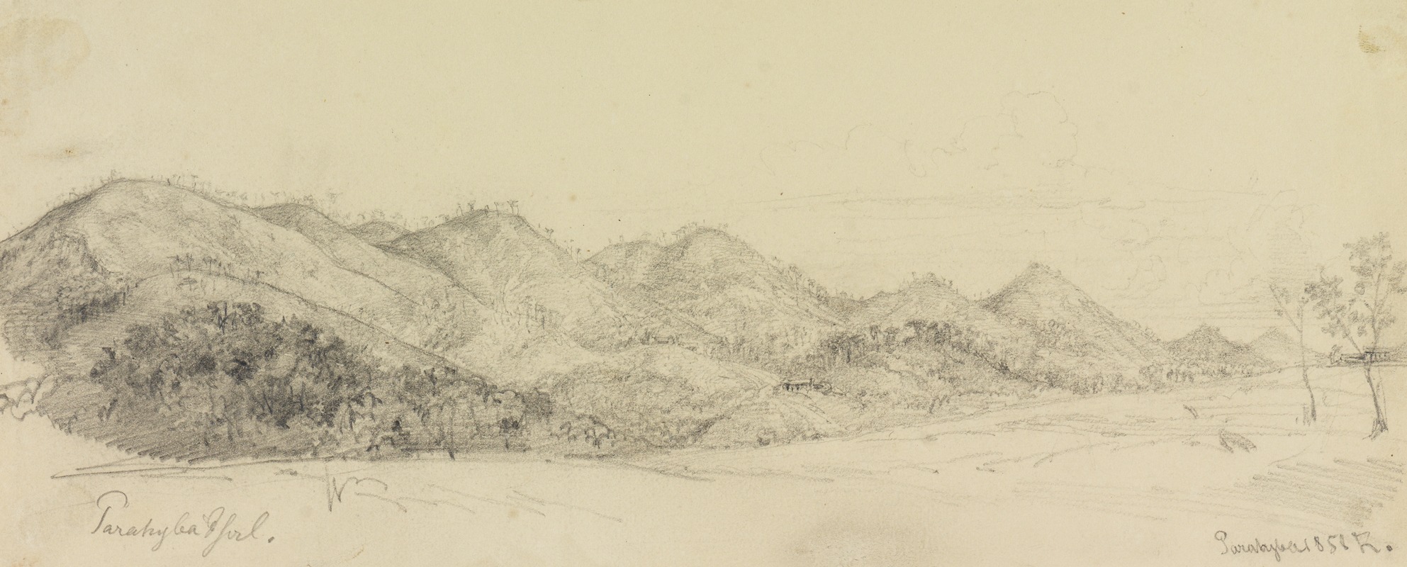 Ansicht Parahybapfad by Фердинанд Келлер, 1858 — digital art print download