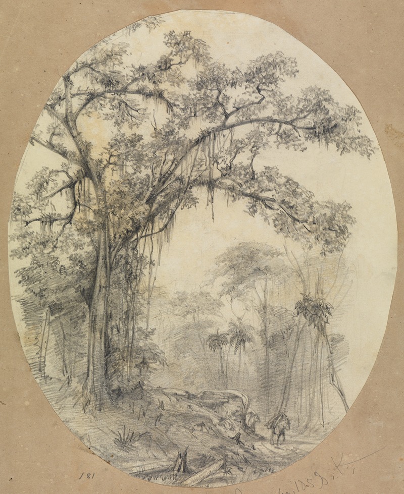 Baumstudie auf kleiner Anhöhe by Фердинанд Келлер, 1858 — digital art print download