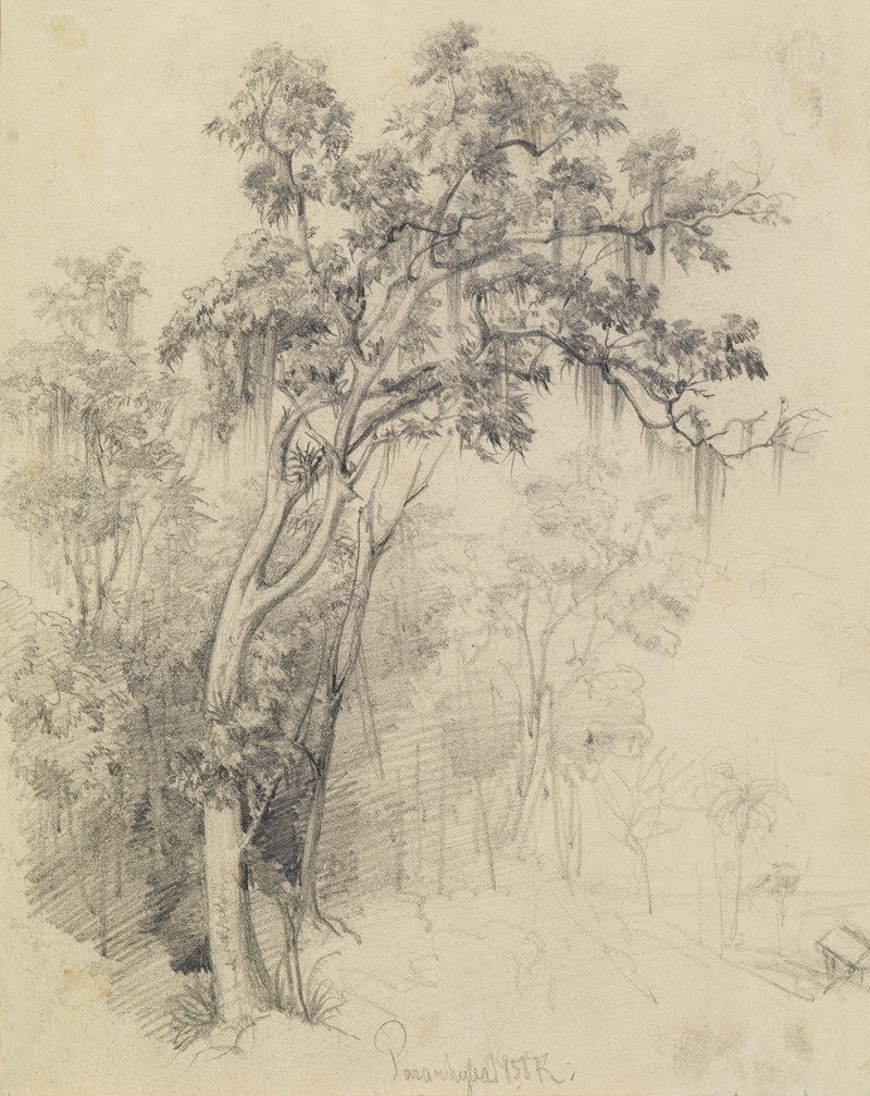 Im Urwald- Baumstudie by Ferdinand Keller, 1858 — digital art print download