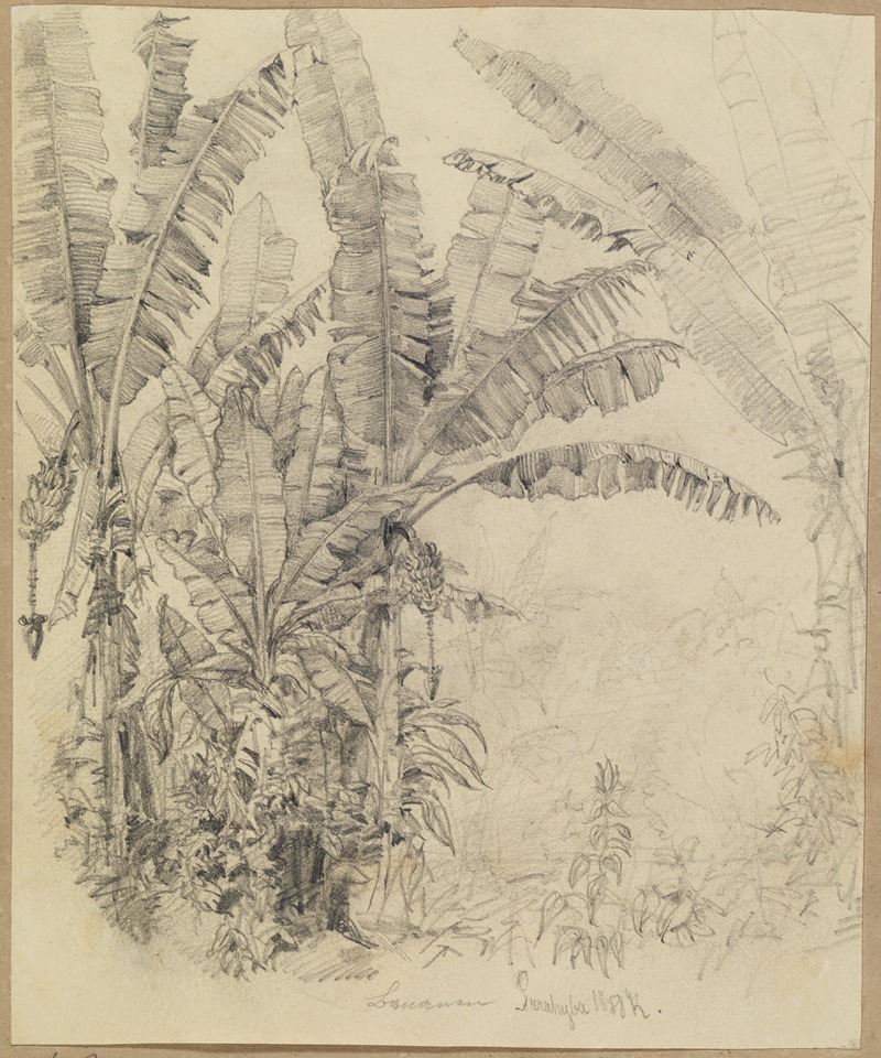 Im Urwald- Palmengewächse by Фердинанд Келлер, 1858 — digital art print download