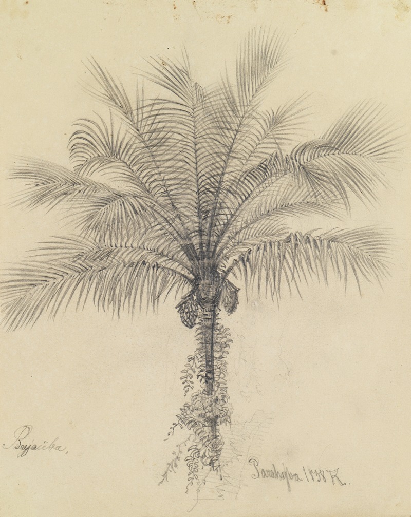 Palmstudie II by Фердинанд Келлер, 1858 — digital art print download