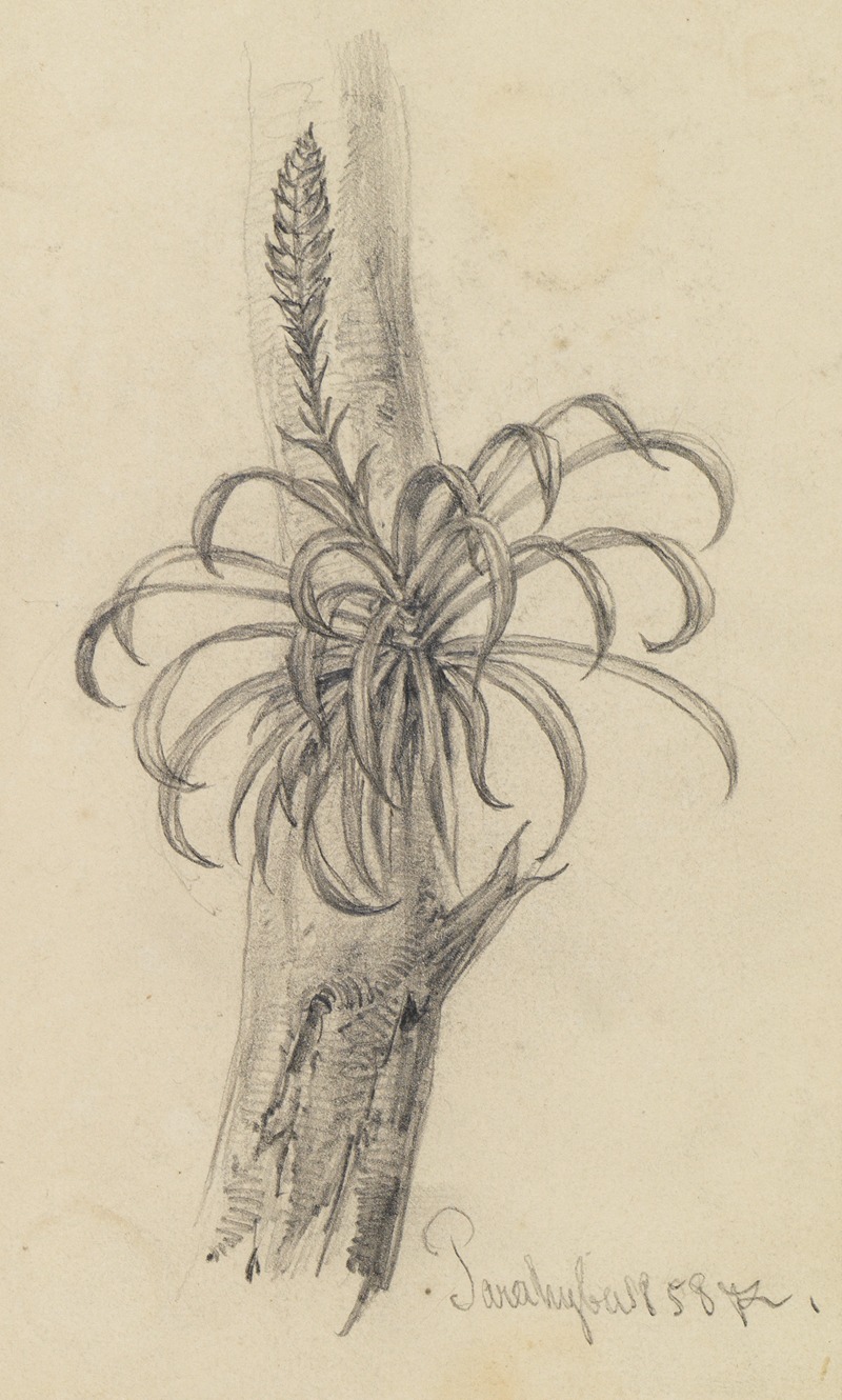 Pflanzenstudie am Ast II by Фердинанд Келлер, 1858 — digital art print download