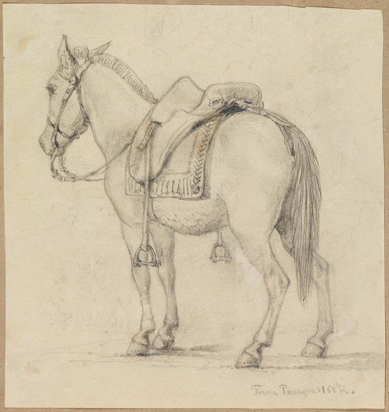 Studie gesatteltes Pferd, von hinten seitlich — Ferdinand Keller