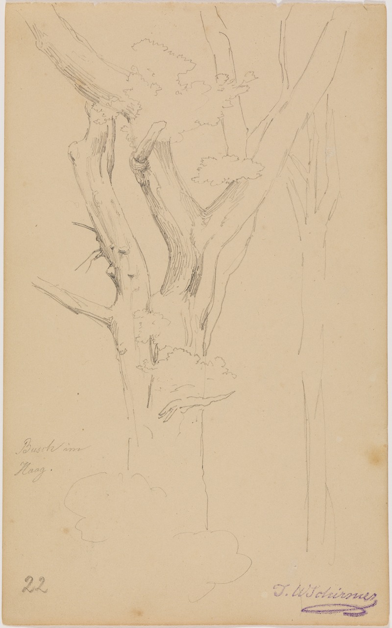 Baumstudie ('Busch im Haag'), fol. 22 by Иоганн Вильгельм Ширмер, 1836 — digital art print download