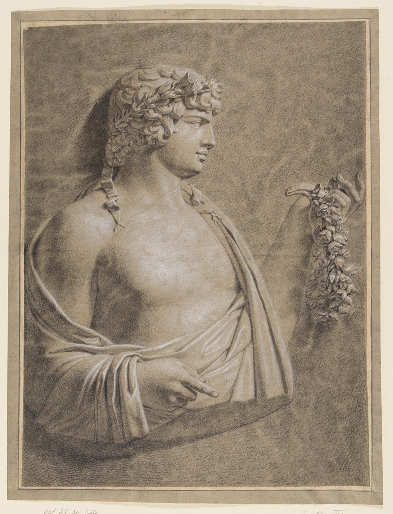 Anatomische Hand- und Armdarstellungen — Philipp Jakob Becker