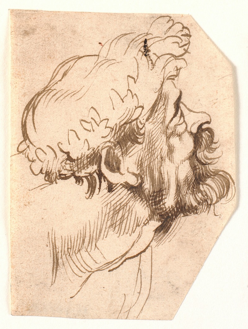 Head of a man — Антоний ван Дейк