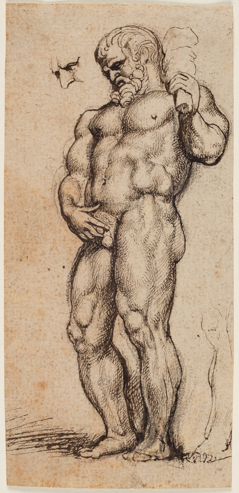 Hercules by Антоний ван Дейк — digital art print download