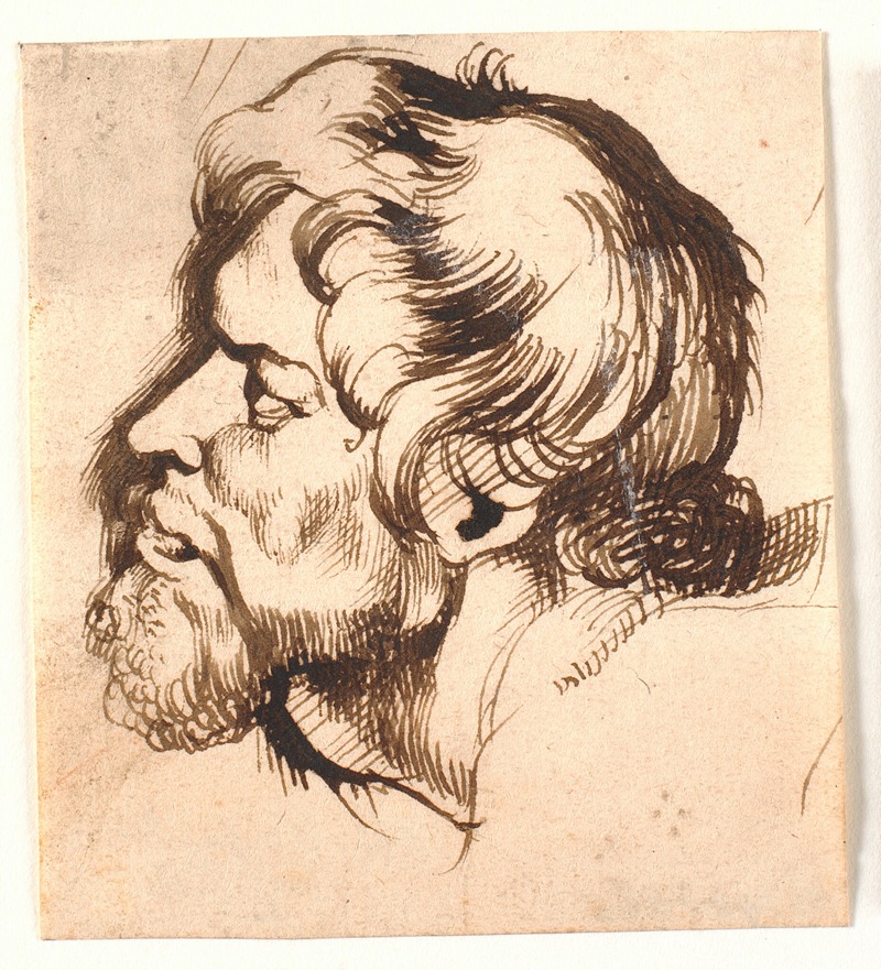 Head of a man — Антоний ван Дейк