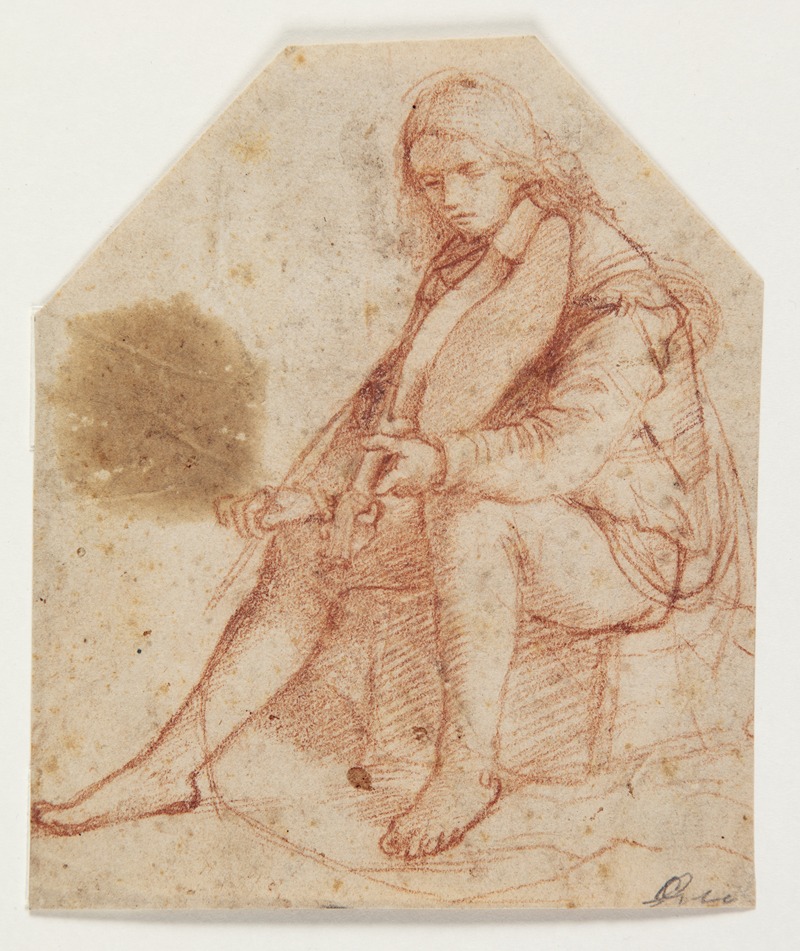 Seated youth with viola by Бернардино Луни — digital art print download
