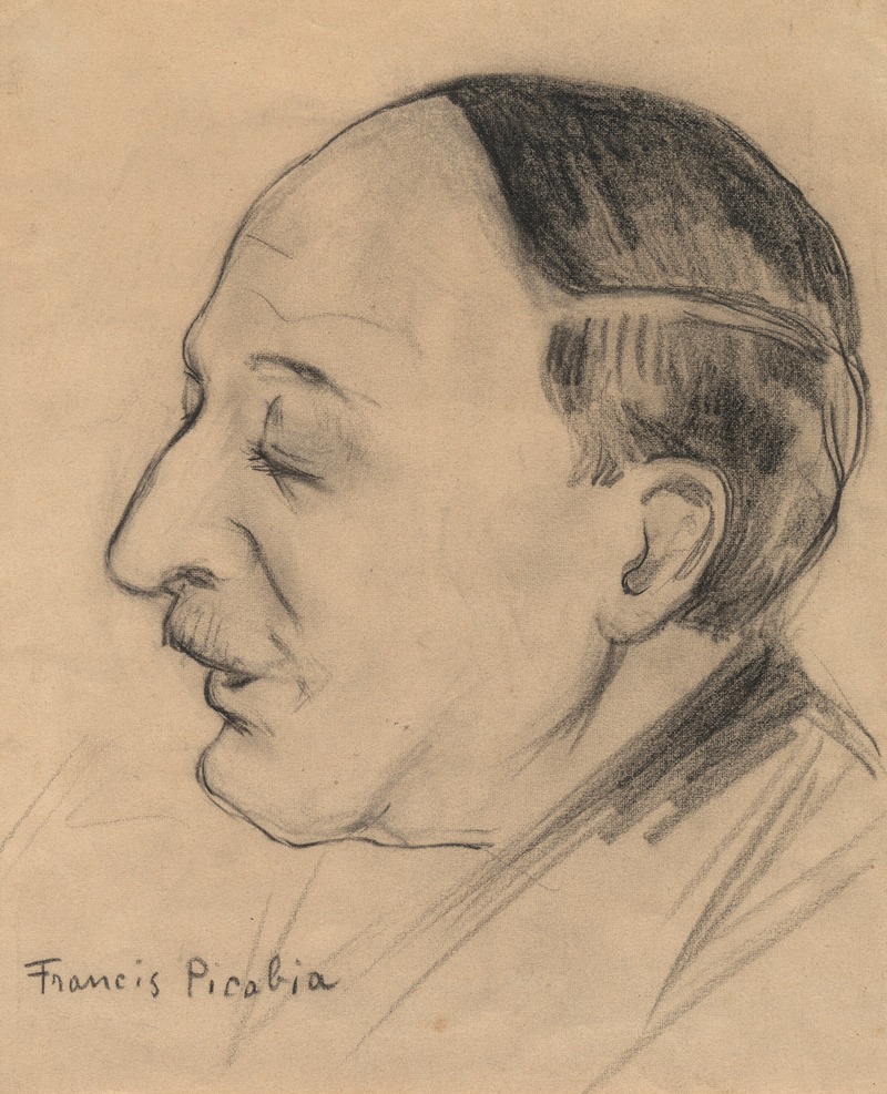 Sans titre (Michel Tony-Révillon) — Франсис Пикабия