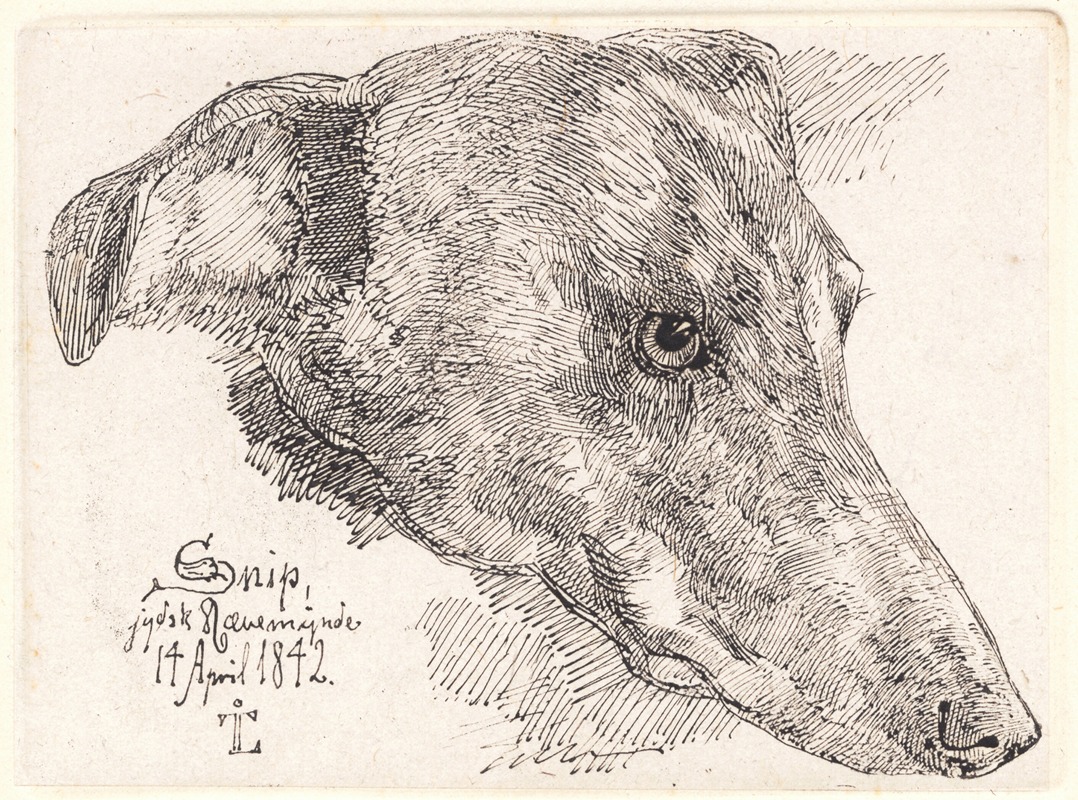 Hundehoved, Snip by Йохан Томас Лундбю, 1842 — digital art print download