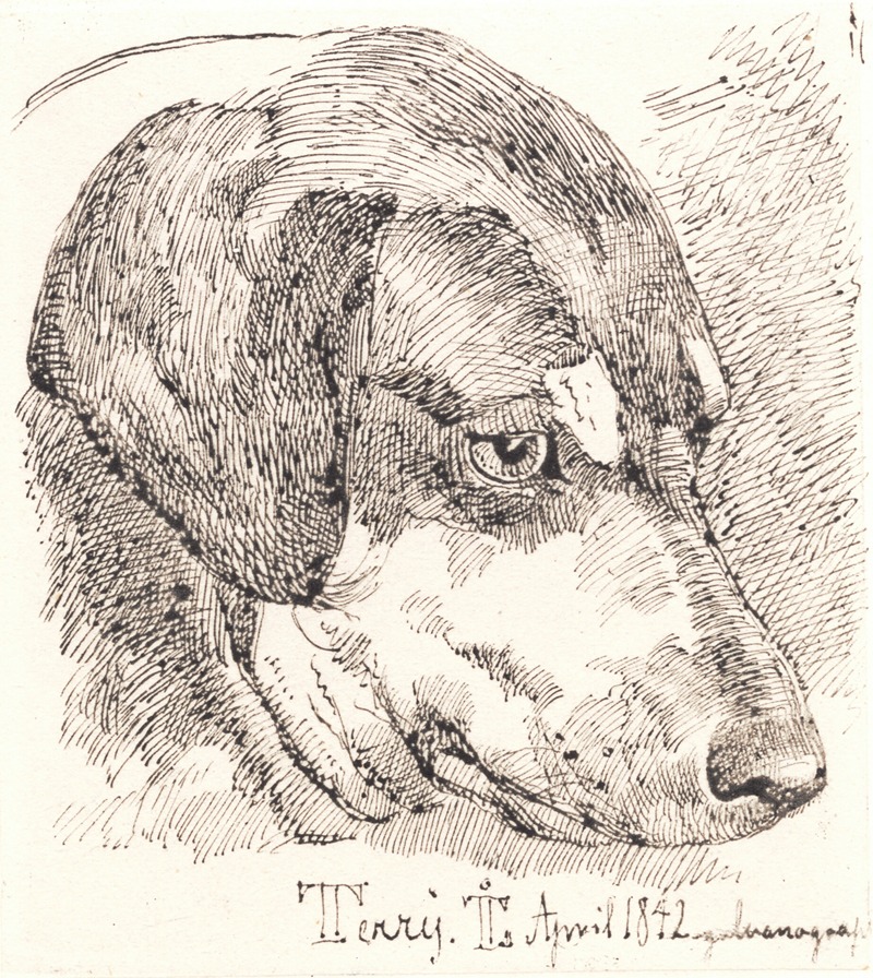 Hundehoved, Terry by Йохан Томас Лундбю, 1842 — digital art print download