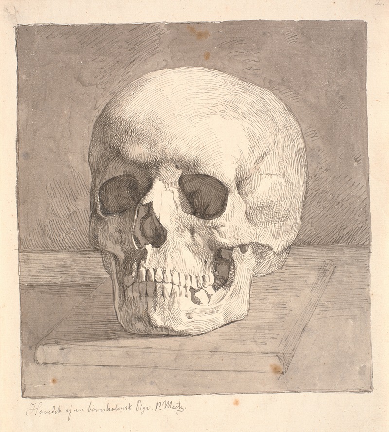 Kranium, set forfra by Йохан Томас Лундбю, 1839 — digital art print download