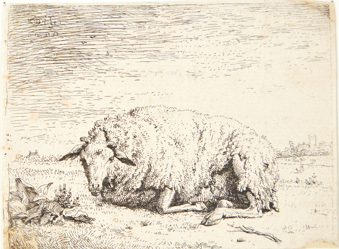 Liggende får by Карел Дуйардин, 1655 — digital art print download