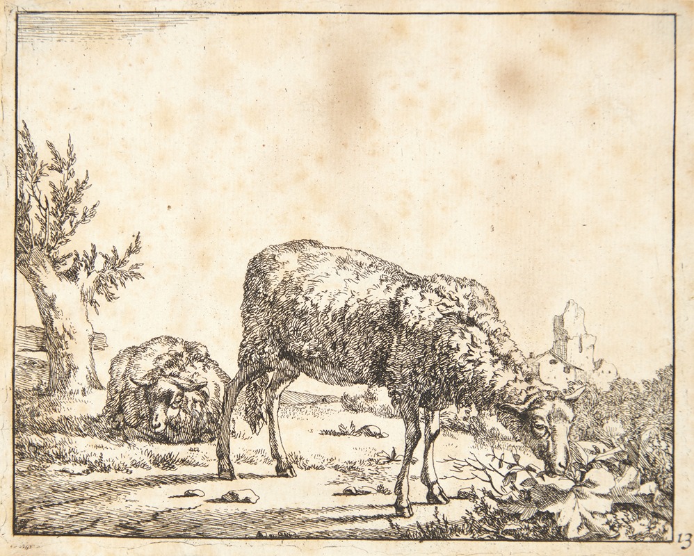 Græssende og liggende får by Marcus de Bye, 1664 — digital art print download