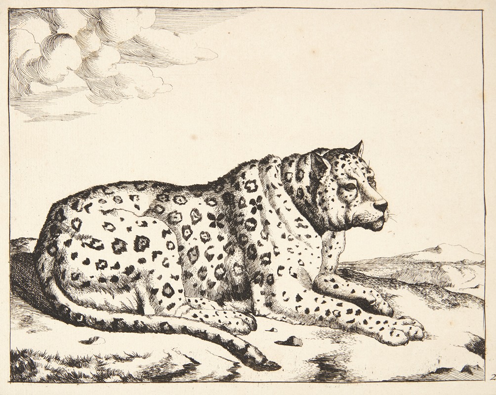 Liggende leopard, vendt mod højre by Marcus de Bye — digital art print download