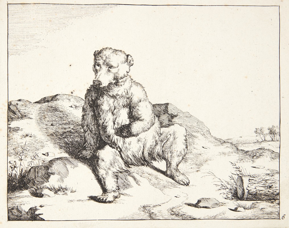 Siddende bjørn, set forfra by Marcus de Bye — digital art print download