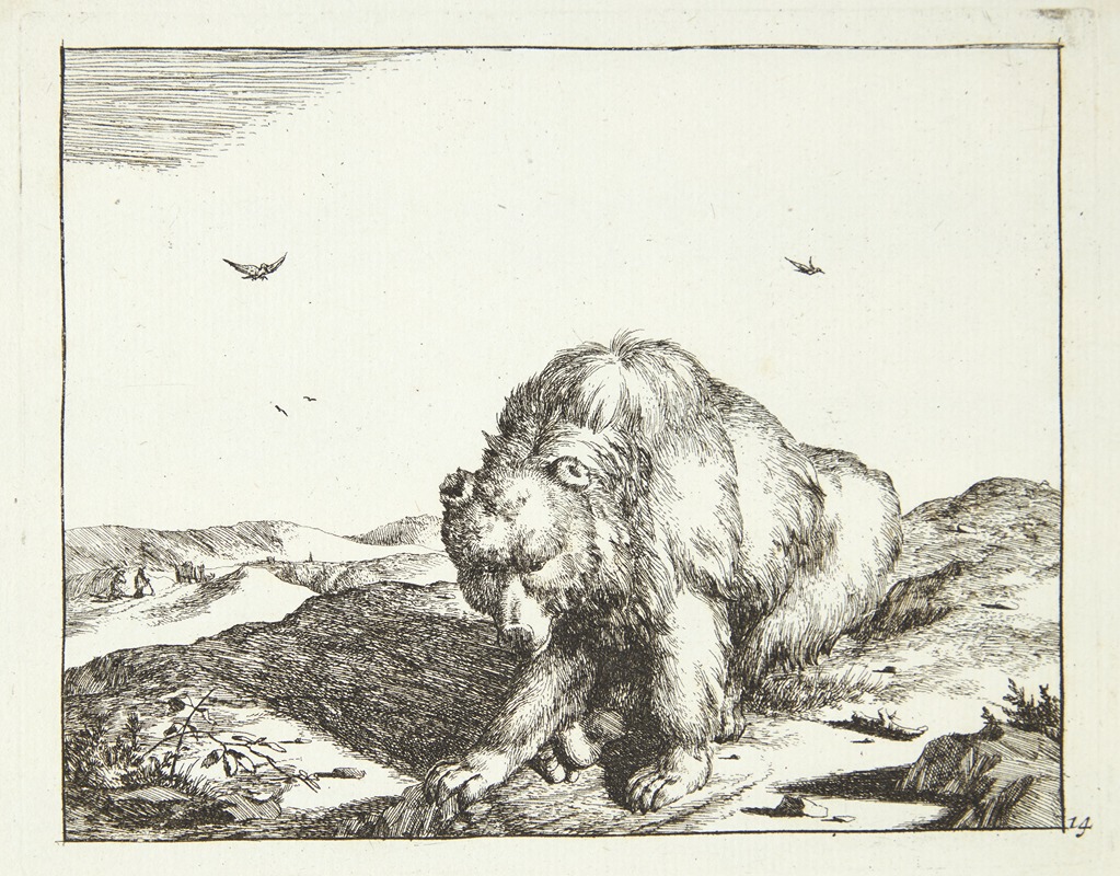 Siddende bjørn, set forfra by Marcus de Bye, 1664 — digital art print download