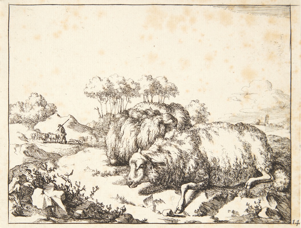 To liggende gimmer, den ene gravid — Marcus de Bye