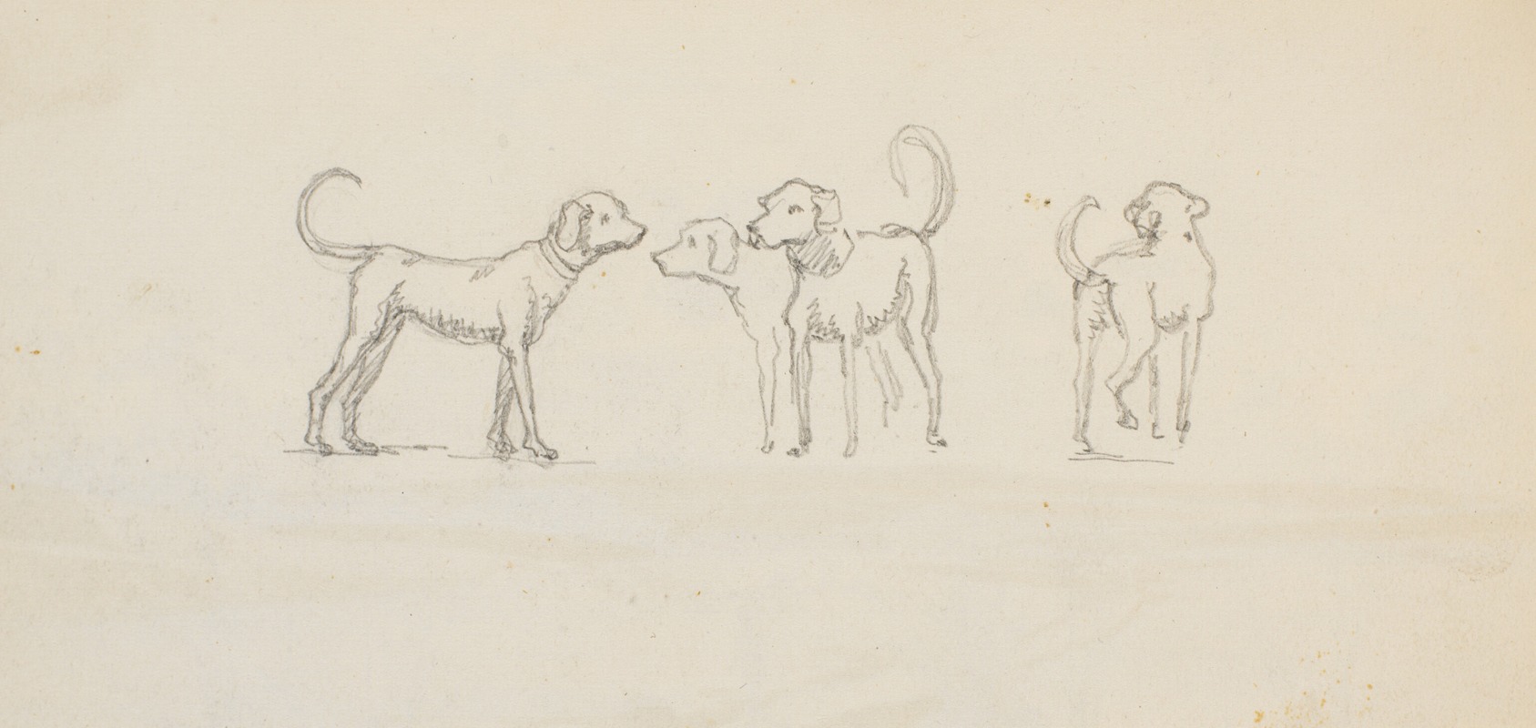 Studier af hunde by Мартинус Рёрбю, 1832 — digital art print download