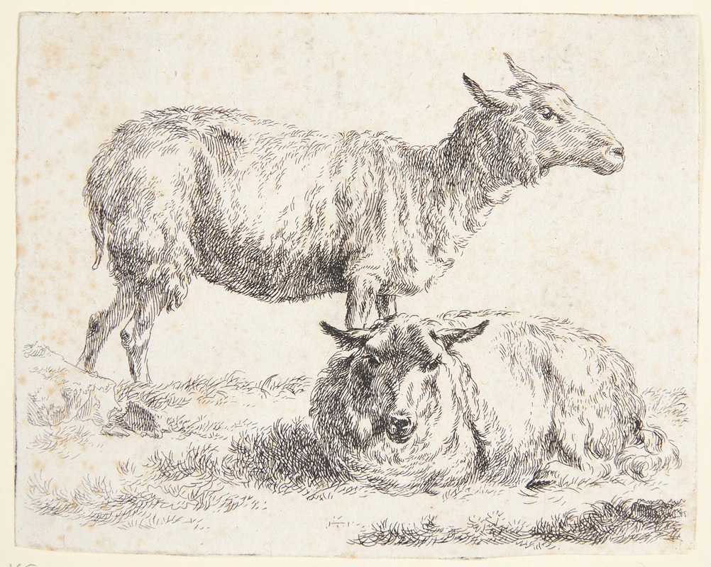 Et stående og et liggende får — Nicolaes Pietersz. Berchem